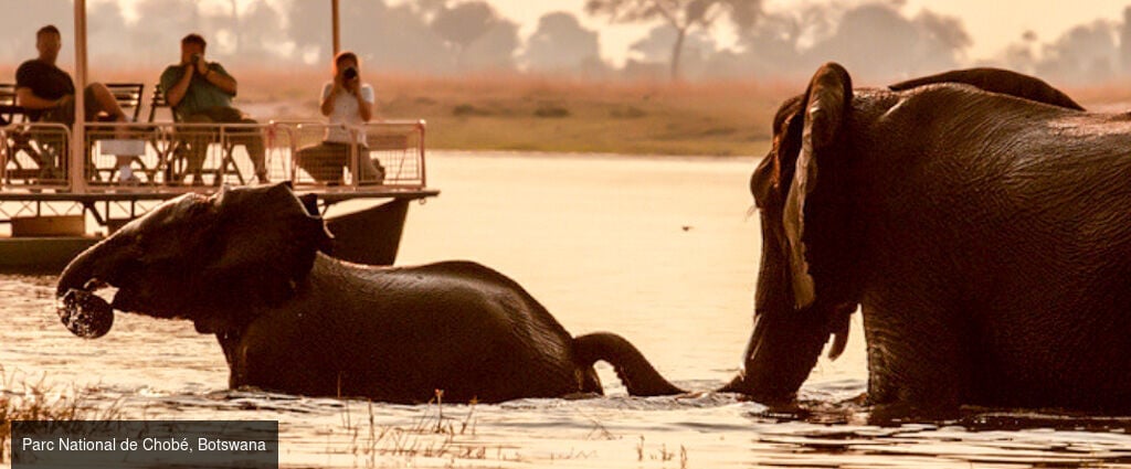 Safari-croisière au fil du Zambèze - Croisière-safari de 8 nuits en Afrique australe ; parcs mythiques de Chobé et de Matusadona, traditions namibiennes et paysages grandioses des chutes Victoria. - Afrique australe