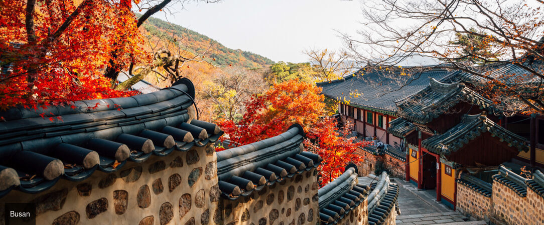De Séoul à Jeju, la Corée essentielle - Circuit privatif de 14 nuits à la découverte des incontournables de la Corée du Sud. - Corée du Sud : Séoul, Busan & île de Jeju