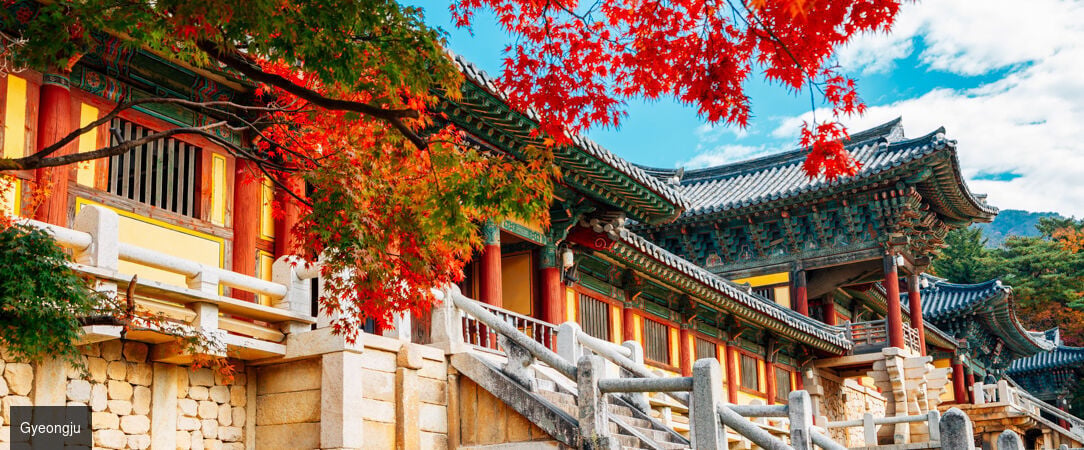 De Séoul à Jeju, la Corée essentielle - Circuit privatif de 14 nuits à la découverte des incontournables de la Corée du Sud. - Corée du Sud : Séoul, Busan & île de Jeju