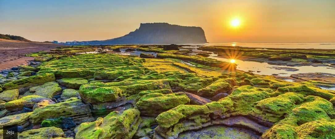 De Séoul à Jeju, la Corée essentielle - Circuit privatif de 14 nuits à la découverte des incontournables de la Corée du Sud. - Corée du Sud : Séoul, Busan & île de Jeju