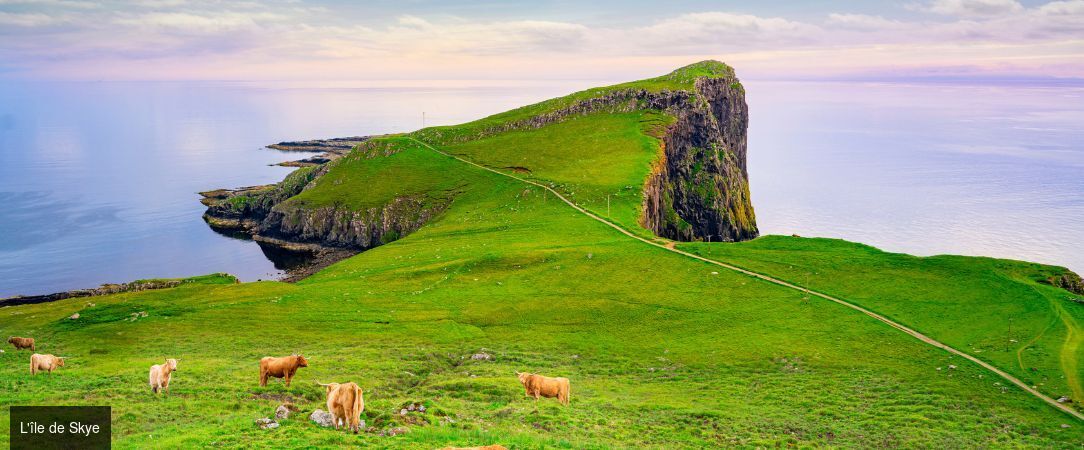 L'Écosse en train - Voyage en train de 7 nuits à travers l’Écosse, d’Édimbourg aux Highlands, entre villes historiques, lochs légendaires et paysages spectaculaires. - Écosse : d’Édimbourg à Glasgow