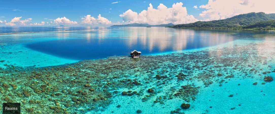 Croisière en Polynésie Française à bord du M/S Panorama II - Croisière de 7 nuits en Polynésie française à bord du M/S Panorama II, à la découverte de Tahiti, Moorea, Bora Bora et des îles de la Société, en pension complète. - Tahiti et les îles de la Polynésie française