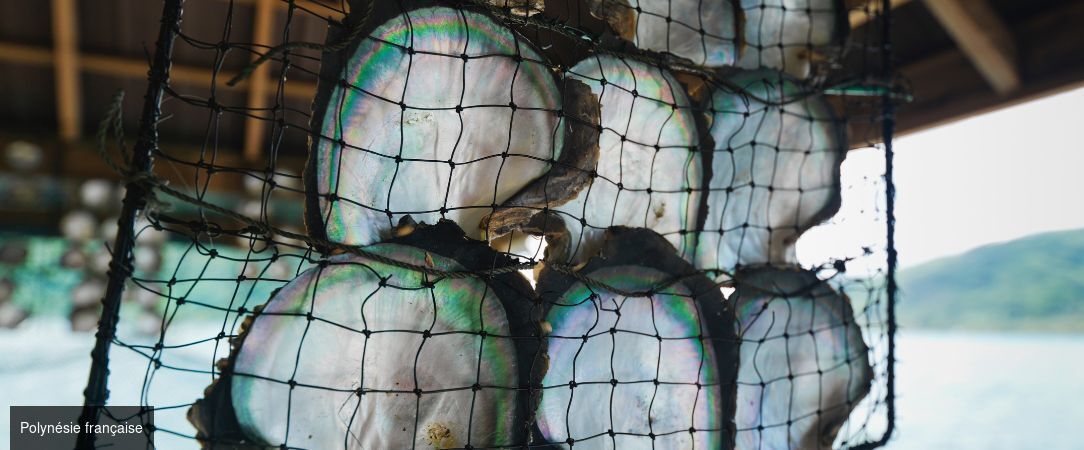 Croisière Tahiti et les Îles de la Polynésie française -  - Papeete, Polynésie française