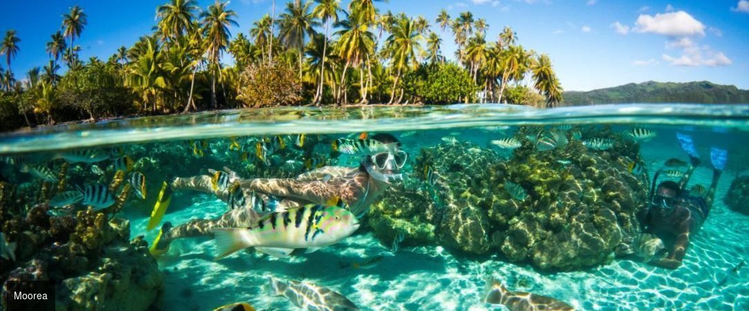 Croisière Tahiti et les Îles de la Polynésie française -  - Papeete, Polynésie française