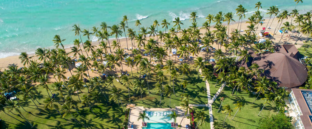 Viva Wyndham V Samana ★★★★★ - Adults Only - Séjour en All Inclusive près de Las Terrenas : nature & activités au programme. - Samana, République dominicaine