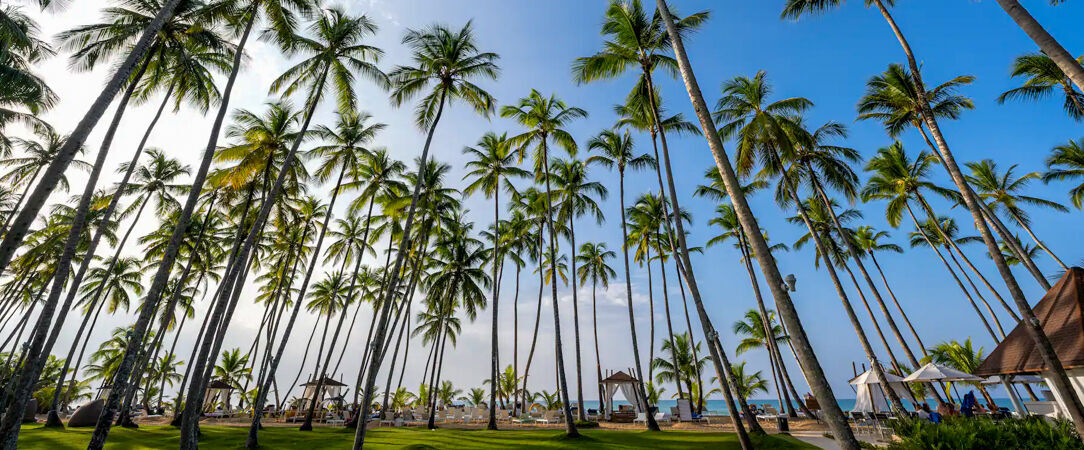 Viva Wyndham V Samana ★★★★★ - Adults Only - Séjour en All Inclusive près de Las Terrenas : nature & activités au programme. - Samana, République dominicaine