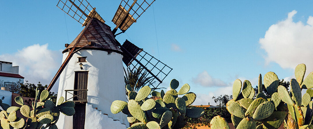 Hotel Riu Palace Calypso - Adults Only ★★★★ - Une parenthèse Adults Only à Fuerteventura au bord de l’océan Atlantique. - Fuerteventura, Îles Canaries