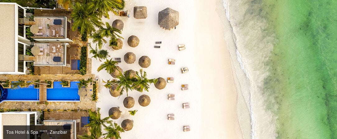 Zanzibar & Selous, lagon et safari -  - Tanzanie : Zanzibar & Réserve de Selous