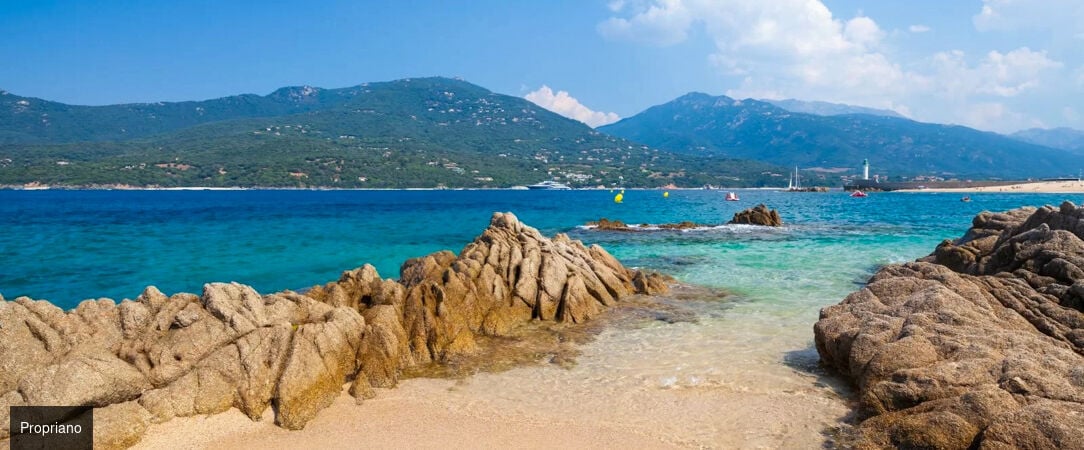 Domaine Arcobiato ★★★★ -  - Corse, France