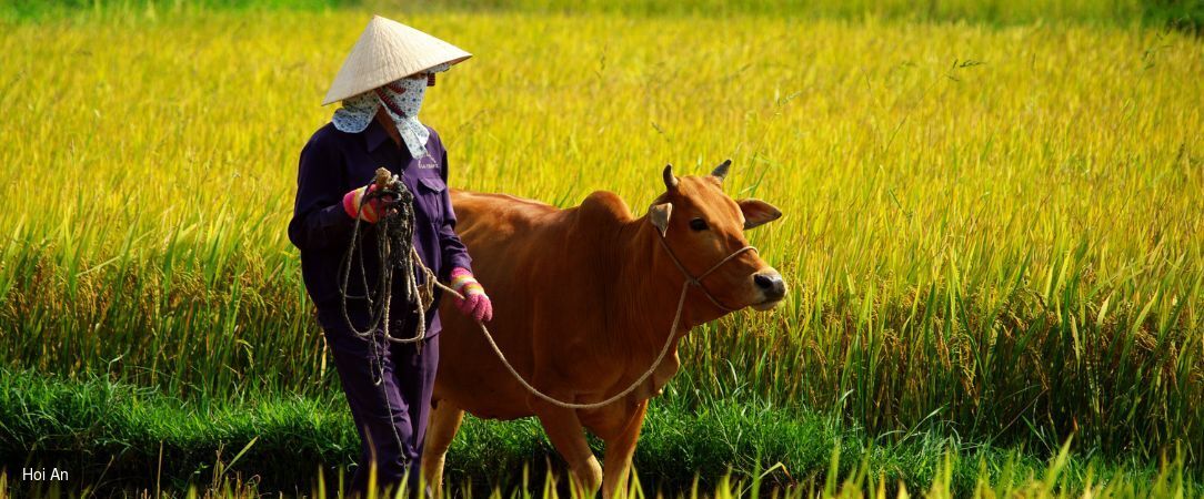 Sérénade du Mékong avec croisière à bord d'un Sampan privatisé - Circuit privatif : un voyage raffiné au fil de l’eau, entre charme authentique, nature luxuriante et traditions vietnamiennes. - Vietnam