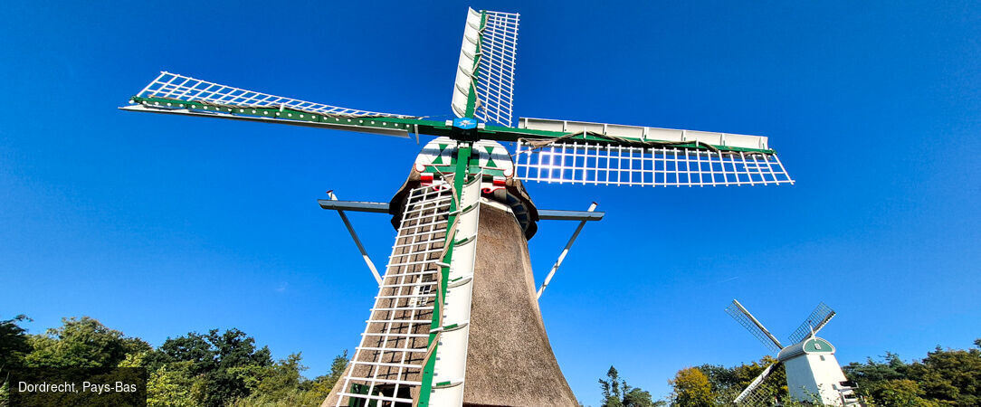 Croisière florale au fil du Rhin - Croisière printanière d’une semaine, d’Amsterdam à Strasbourg, entre jardins d’exception, escales culturelles et conférences exclusives d’Alain Baraton. - Pays-Bas, Allemagne & Alsace