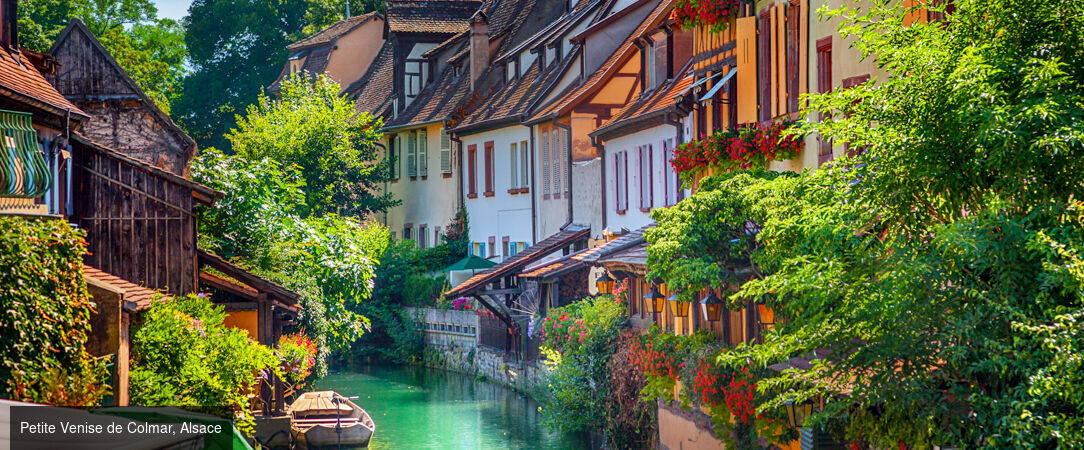 Croisière florale au fil du Rhin - Croisière printanière d’une semaine, d’Amsterdam à Strasbourg, entre jardins d’exception, escales culturelles et conférences exclusives d’Alain Baraton. - Pays-Bas, Allemagne & Alsace