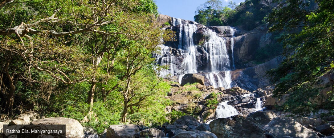 Sri Lanka authentique entre nature et traditions -  - Sri Lanka : Wilpattu, Sigiriya & Kalutara