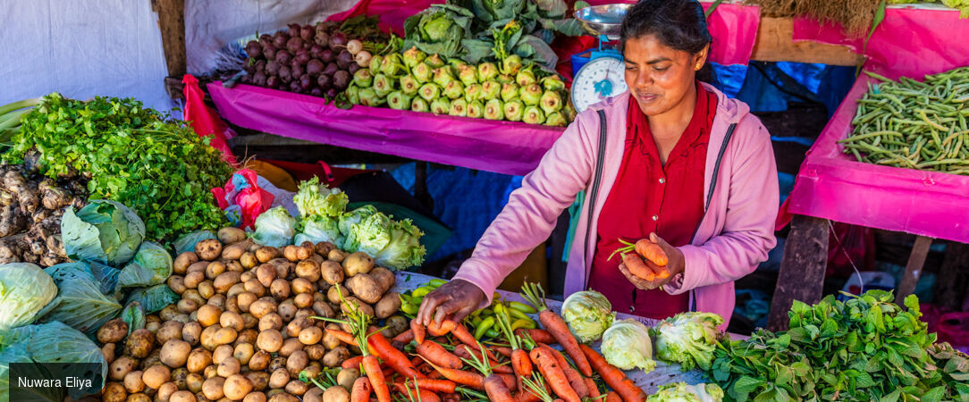 Sri Lanka authentique entre nature et traditions -  - Sri Lanka : Wilpattu, Sigiriya & Kalutara