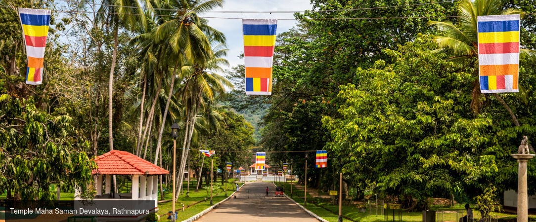 Sri Lanka authentique entre nature et traditions -  - Sri Lanka : Wilpattu, Sigiriya & Kalutara