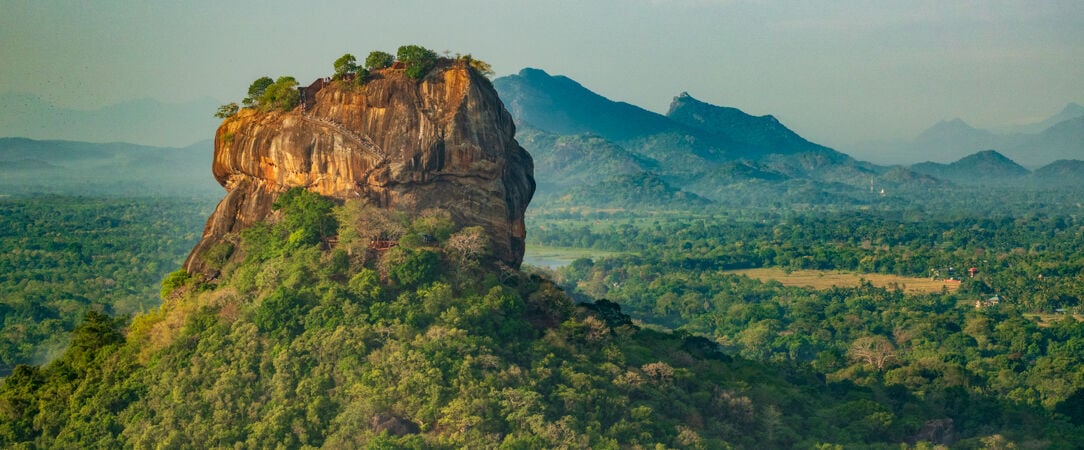 Sri Lanka authentique entre nature et traditions -  - Sri Lanka : Wilpattu, Sigiriya & Kalutara