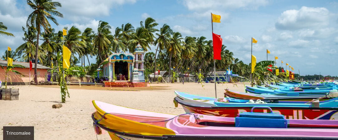 Sri Lanka authentique entre nature et traditions -  - Sri Lanka : Wilpattu, Sigiriya & Kalutara