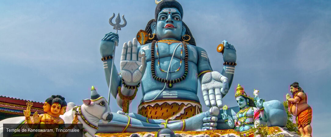 Sri Lanka authentique entre nature et traditions -  - Sri Lanka : Wilpattu, Sigiriya & Kalutara