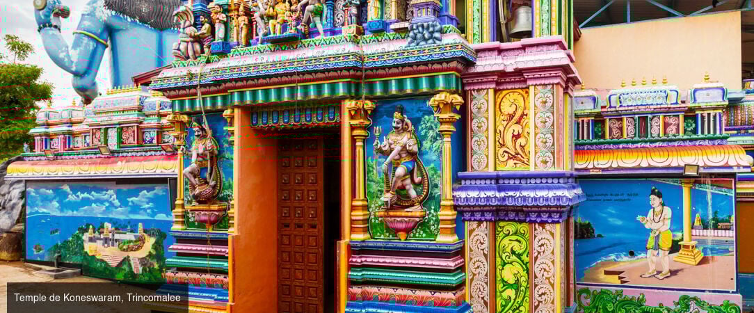 Sri Lanka authentique entre nature et traditions -  - Sri Lanka : Wilpattu, Sigiriya & Kalutara