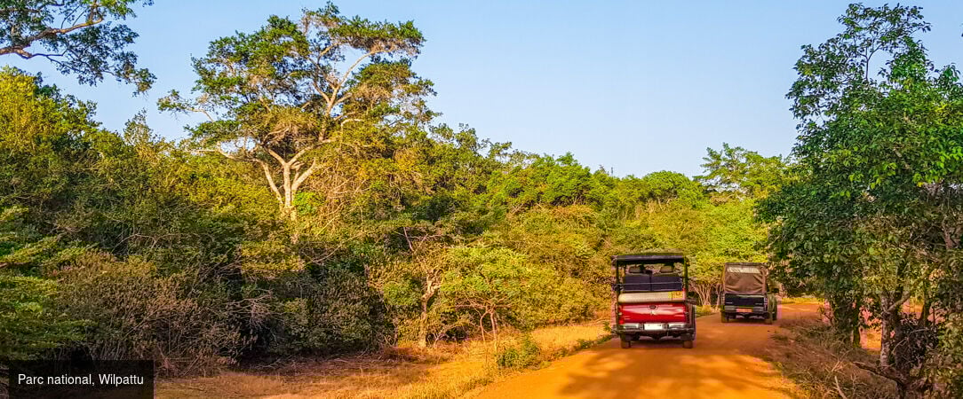 Sri Lanka authentique entre nature et traditions -  - Sri Lanka : Wilpattu, Sigiriya & Kalutara