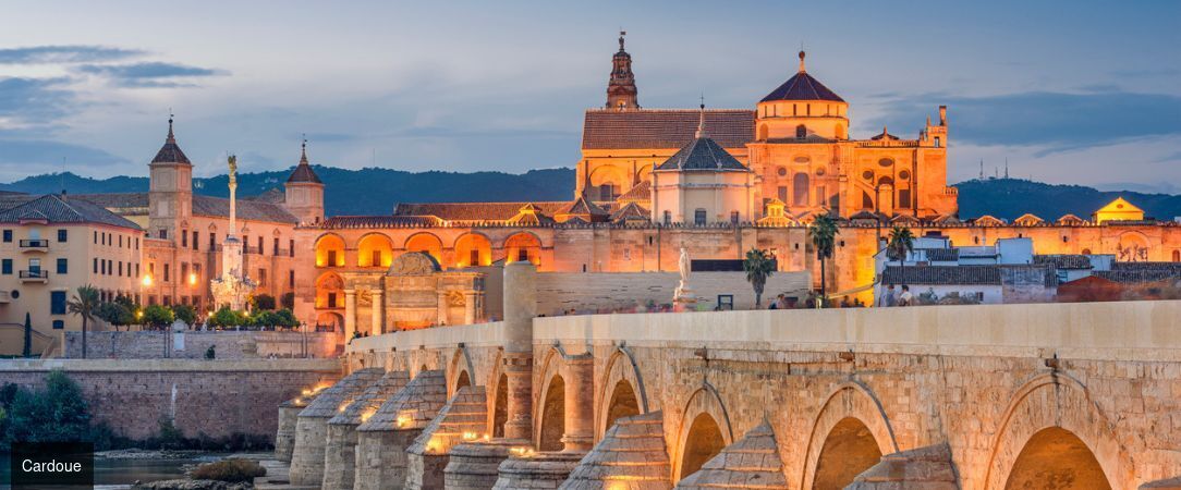 Les splendeurs de l'Andalousie au fil du Guadalquivir -  - Andalousie, Espagne
