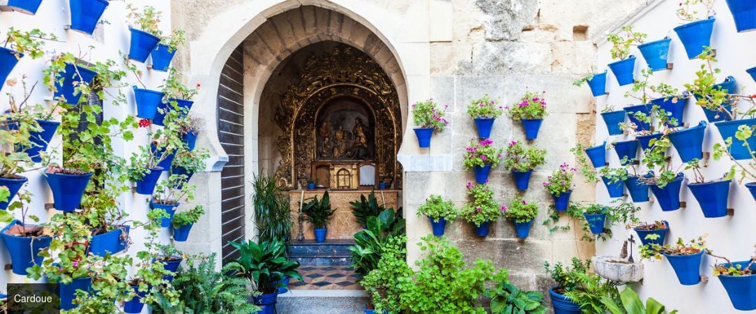 Les splendeurs de l'Andalousie au fil du Guadalquivir -  - Andalousie, Espagne