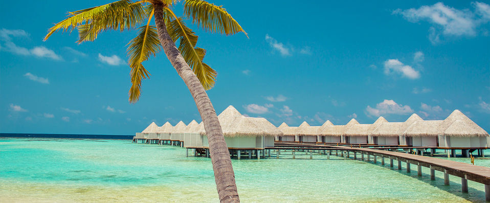 Drift Thelu Veliga Retreat ★★★★ - Séjour privilégié, confort et intimité sur une petite île privée des Maldives. - Maldives
