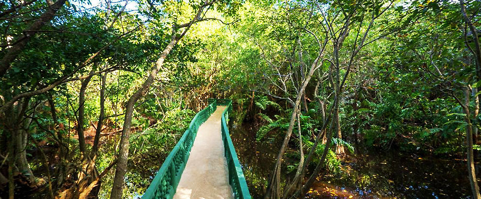 Grand Bávaro Princess ★★★★★ - Séjour magnifique sur la plage de Bávaro. - Punta Cana, République dominicaine