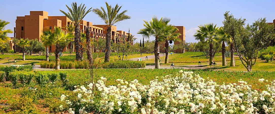 Club Coralia Aqua Mirage Marrakech ★★★★ - Un grand terrain de jeu aux portes de Marrakech, entre soleil, glissades aquatiques et ambiance festive tout inclus. - Marrakech, Maroc