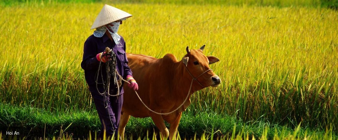 Sérénade du Mékong avec croisière à bord d'un Sampan privatisé -  - Vietnam