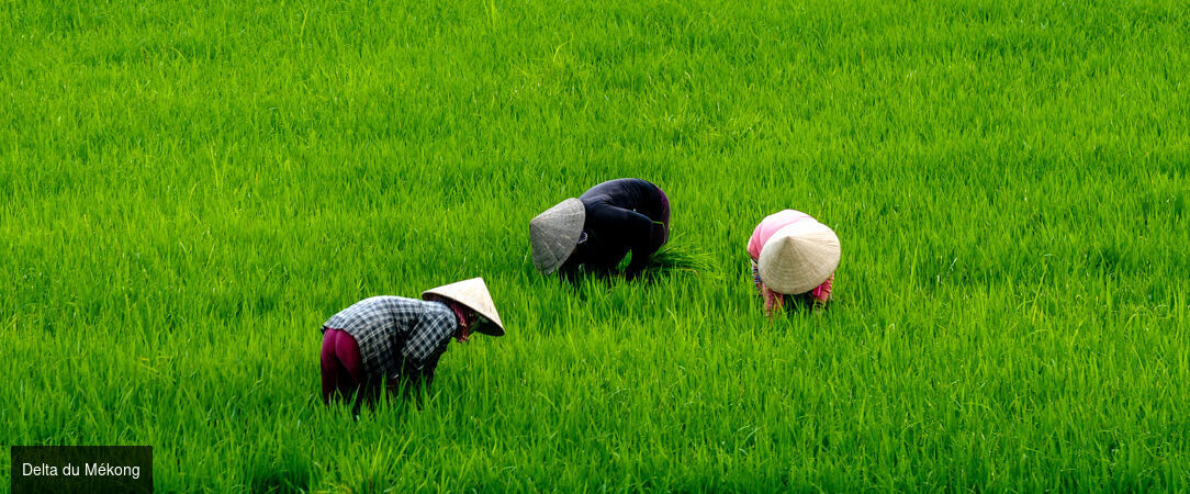Sérénade du Mékong avec croisière à bord d'un Sampan privatisé -  - Vietnam