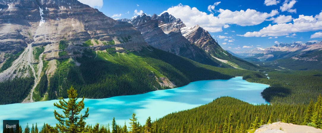 Ouest Canadien : des forêts du Pacifique aux Rocheuses - Autotour de 10 nuits de Vancouver à Calgary, à la découverte des grands parcs de l’Ouest canadien et des Rocheuses mythiques. - Canada