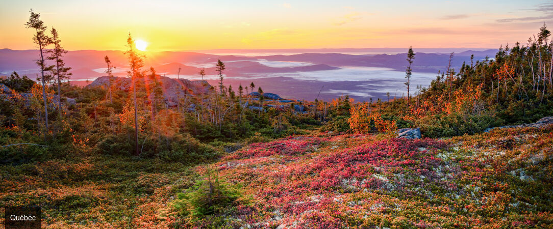Toute l’âme du Québec entre nature et culture - Autotour de 9 nuits au cœur du Québec, entre métropoles francophones, grands espaces boréaux et rencontres culturelles. - Canada