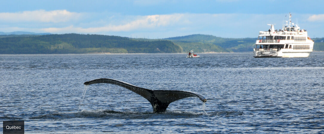 Toute l’âme du Québec entre nature et culture - Autotour de 9 nuits au cœur du Québec, entre métropoles francophones, grands espaces boréaux et rencontres culturelles. - Canada