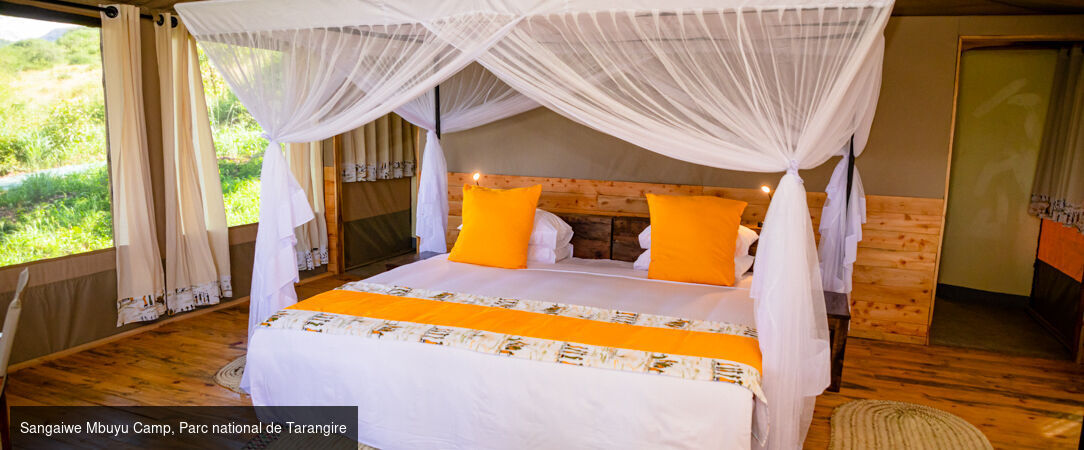 Tanzanie Authentique - Safari privé du Tarangire au Serengeti - Circuit privatif de 7 nuits au cœur des plus grands parcs du nord tanzanien, entre safaris mythiques et paysages grandioses. - Tanzanie