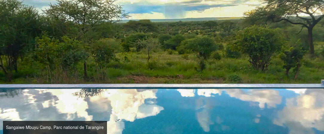 Tanzanie Authentique - Safari privé du Tarangire au Serengeti - Circuit privatif de 7 nuits au cœur des plus grands parcs du nord tanzanien, entre safaris mythiques et paysages grandioses. - Tanzanie