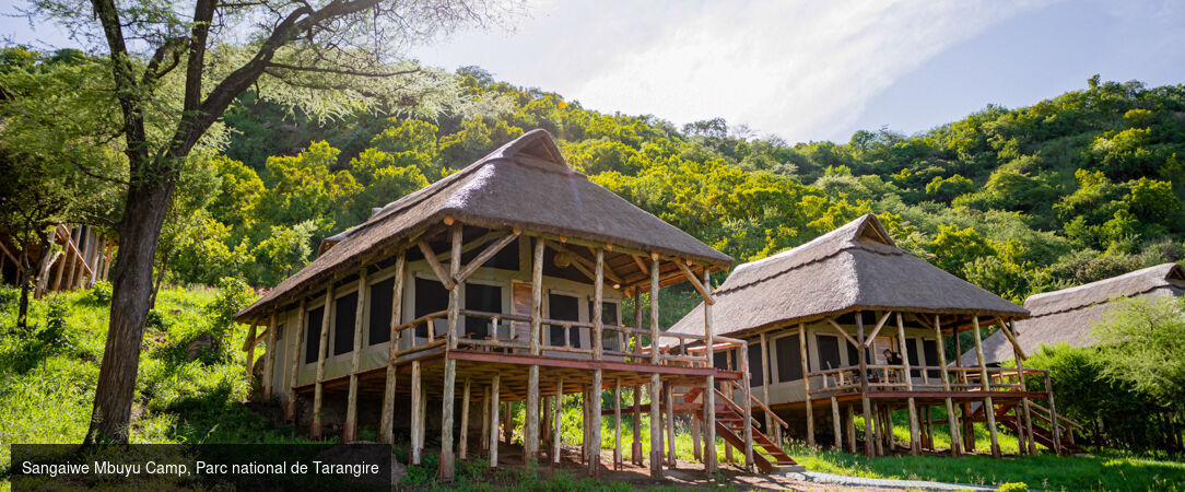 Tanzanie Authentique - Safari privé du Tarangire au Serengeti - Circuit privatif de 7 nuits au cœur des plus grands parcs du nord tanzanien, entre safaris mythiques et paysages grandioses. - Tanzanie