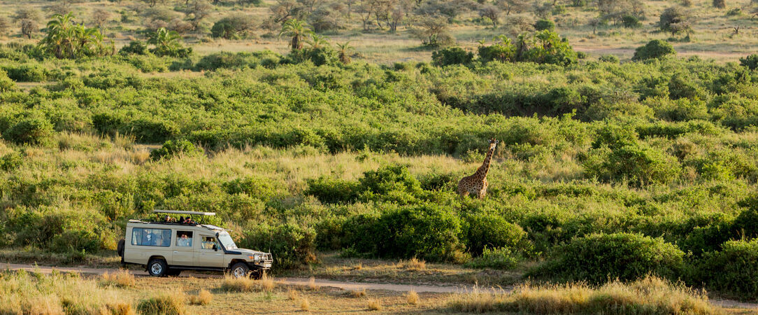 Tanzanie Authentique - Safari privé du Tarangire au Serengeti - Circuit privatif de 7 nuits au cœur des plus grands parcs du nord tanzanien, entre safaris mythiques et paysages grandioses. - Tanzanie