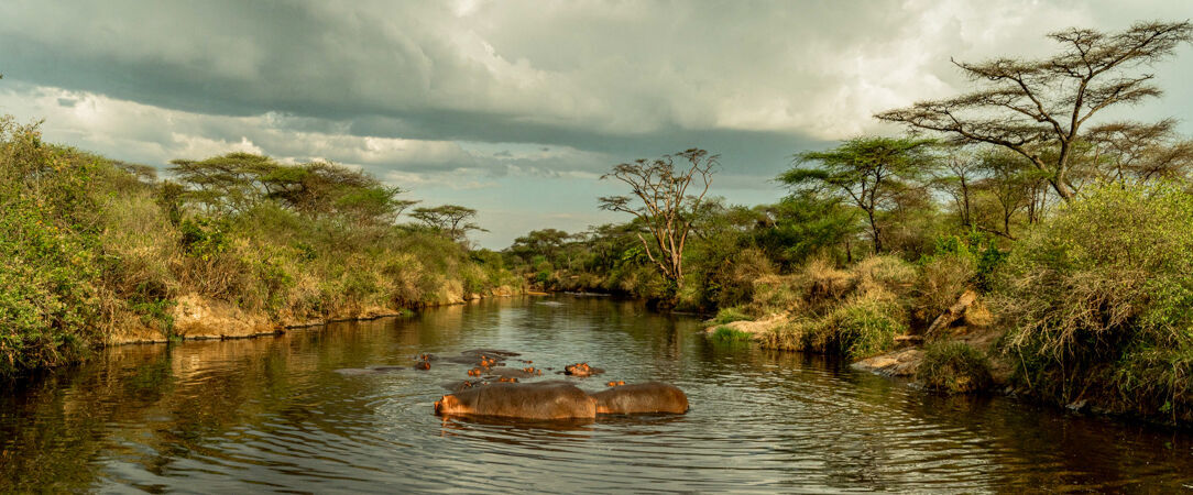 Tanzanie Authentique - Safari privé du Tarangire au Serengeti - Circuit privatif de 7 nuits au cœur des plus grands parcs du nord tanzanien, entre safaris mythiques et paysages grandioses. - Tanzanie