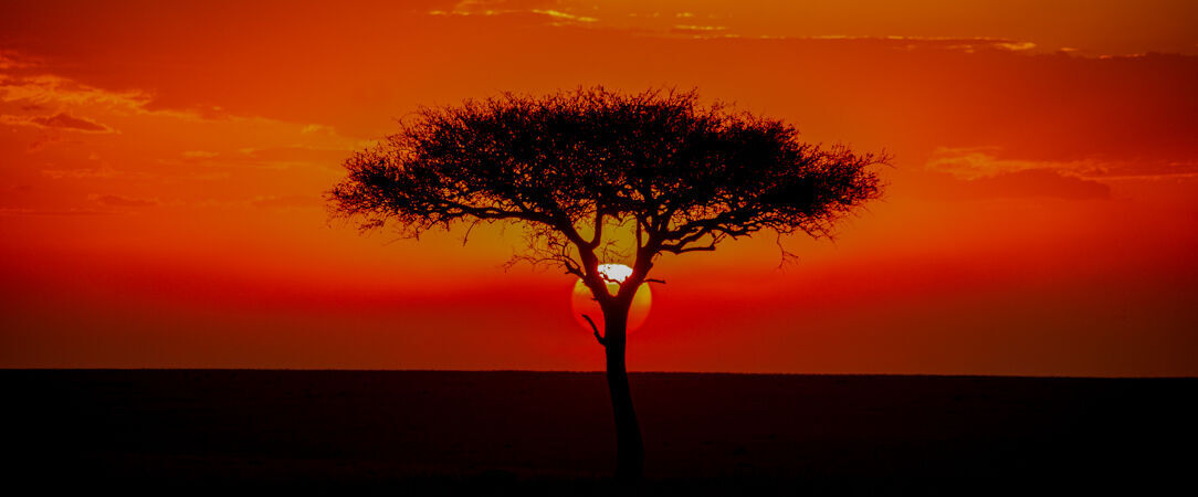 Tanzanie Authentique - Safari privé du Tarangire au Serengeti -  - Tanzanie Authentique - Safari privé du Tarangire au Serengeti