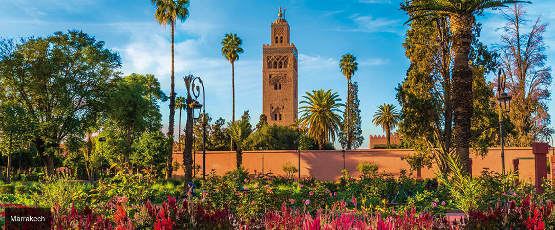Marrakech et les portes du désert - Circuit de 4 à 11 nuits de Marrakech aux dunes de Merzouga, à travers kasbahs, gorges et désert de sable. - Maroc : Marrakech & Grand Sud