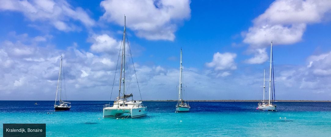 Croisière Horizons Tropicaux au cœur des Caraïbes -  - Caraïbes – Antilles
