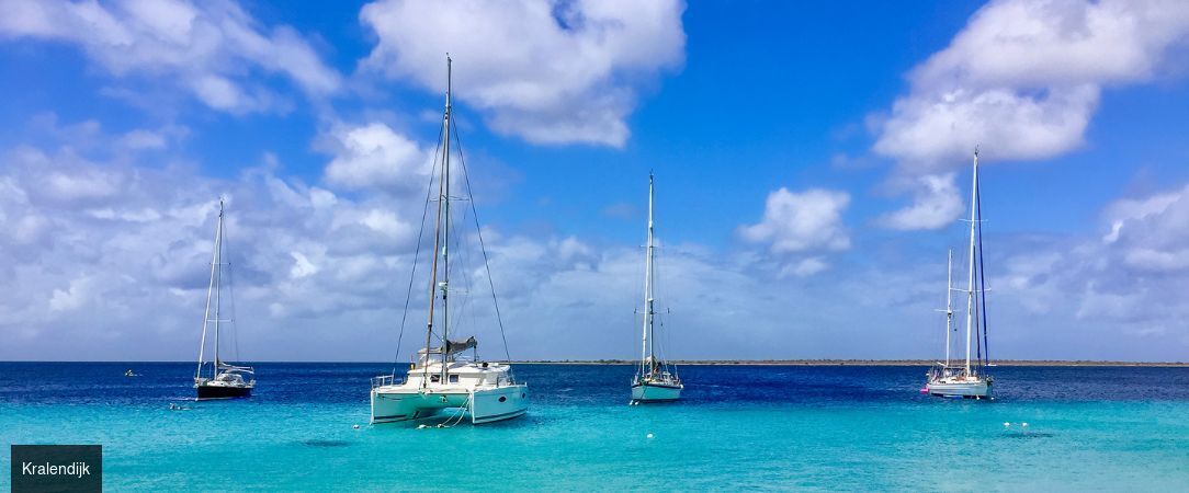 Croisière Parfums des Caraïbes - Croisière de 11 nuits au cœur des Caraïbes à bord du Renaissance, entre îles mythiques, eaux turquoise et escales culturelles. - Caraïbes – Antilles