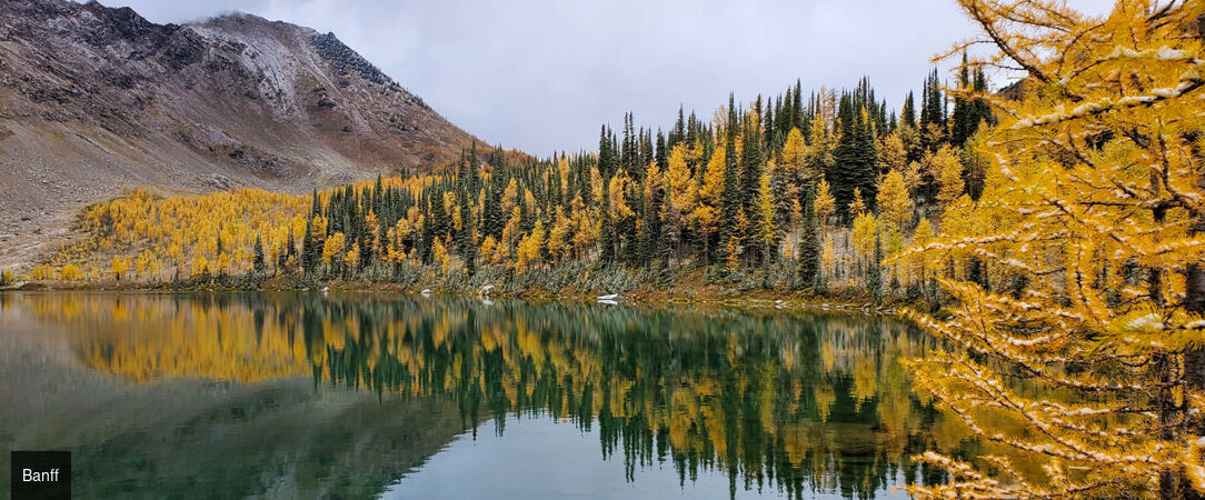 Ouest Canadien : des forêts du Pacifique aux Rocheuses -  - Canada : De Vancouver à Calgary