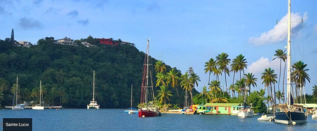 Croisière Noël au rythme des Caraïbes - Croisière de 10 nuits au départ de Pointe-à-Pitre pour célébrer Noël sous le soleil des Caraïbes, entre escales paradisiaques et atmosphère festive. - Caraïbes – Antilles