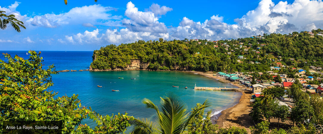 Croisière Noël au rythme des Caraïbes - Croisière de 10 nuits au départ de Pointe-à-Pitre pour célébrer Noël sous le soleil des Caraïbes, entre escales paradisiaques et atmosphère festive. - Caraïbes – Antilles