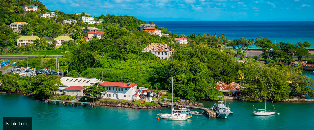 Croisière Noël au rythme des Caraïbes - Croisière de 10 nuits au départ de Pointe-à-Pitre pour célébrer Noël sous le soleil des Caraïbes, entre escales paradisiaques et atmosphère festive. - Caraïbes – Antilles