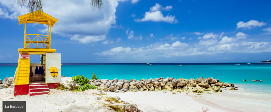 Croisière Noël au rythme des Caraïbes - Croisière de 10 nuits au départ de Pointe-à-Pitre pour célébrer Noël sous le soleil des Caraïbes, entre escales paradisiaques et atmosphère festive. - Caraïbes – Antilles