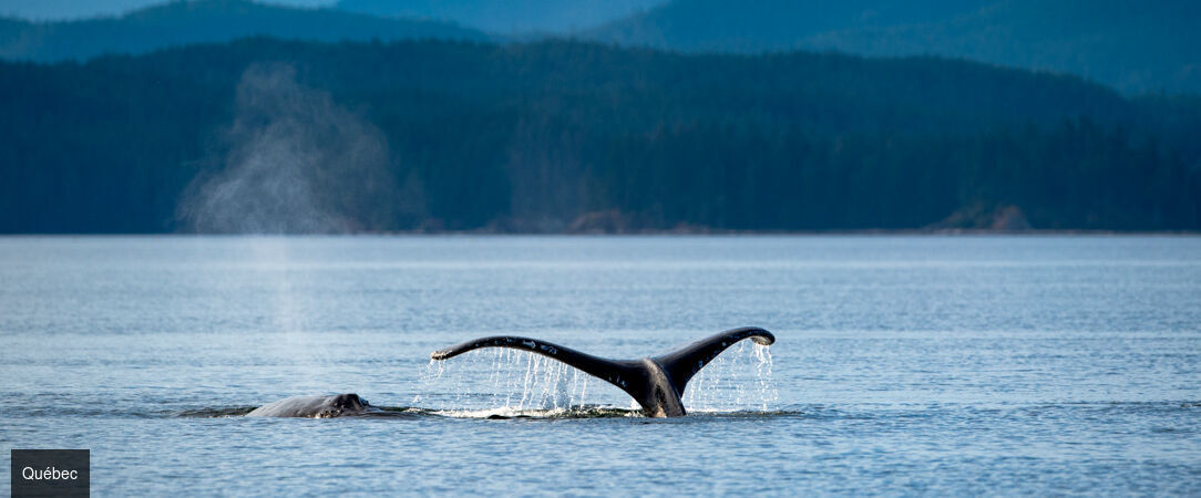 De l’Ontario au Québec en 13 nuits -  - Canada : Ontario & Québec