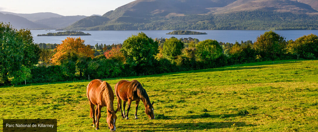 Découvrez l’Irlande en train - Circuit de 7 nuits en train à travers l’Irlande, entre ses villes animées et ses paysages majestueux. - Irlande : de Dublin à Killarney